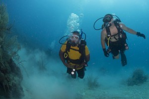 scuba-728202_640