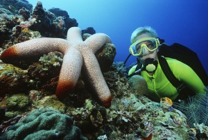 Female scuba diver beside large starfish
