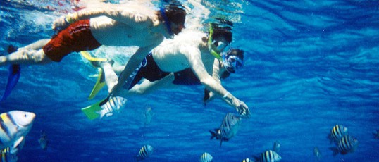 Snorkling